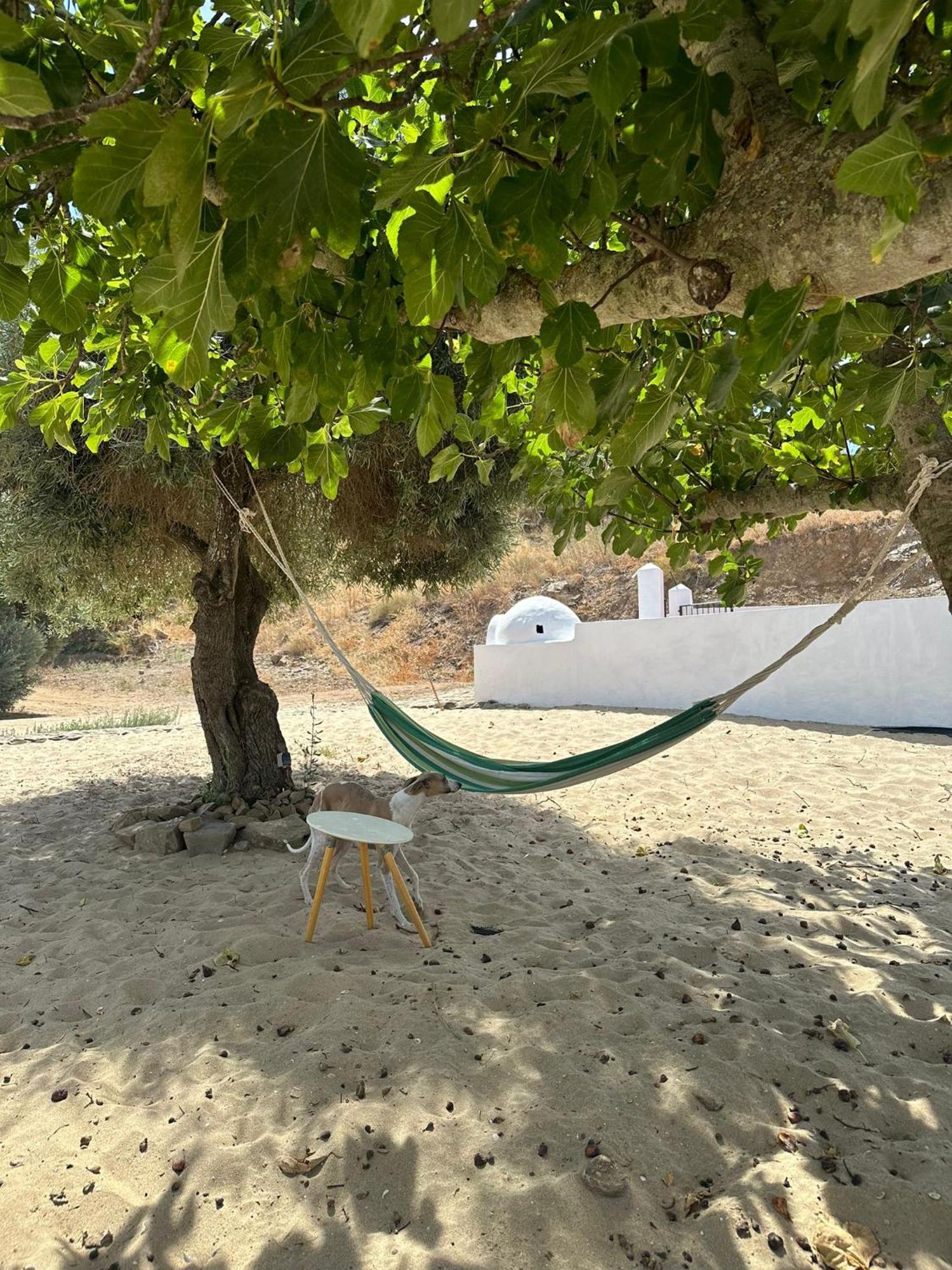 Magnifica Casa A Orillas Del Guadiana Huelva Zewnętrze zdjęcie
