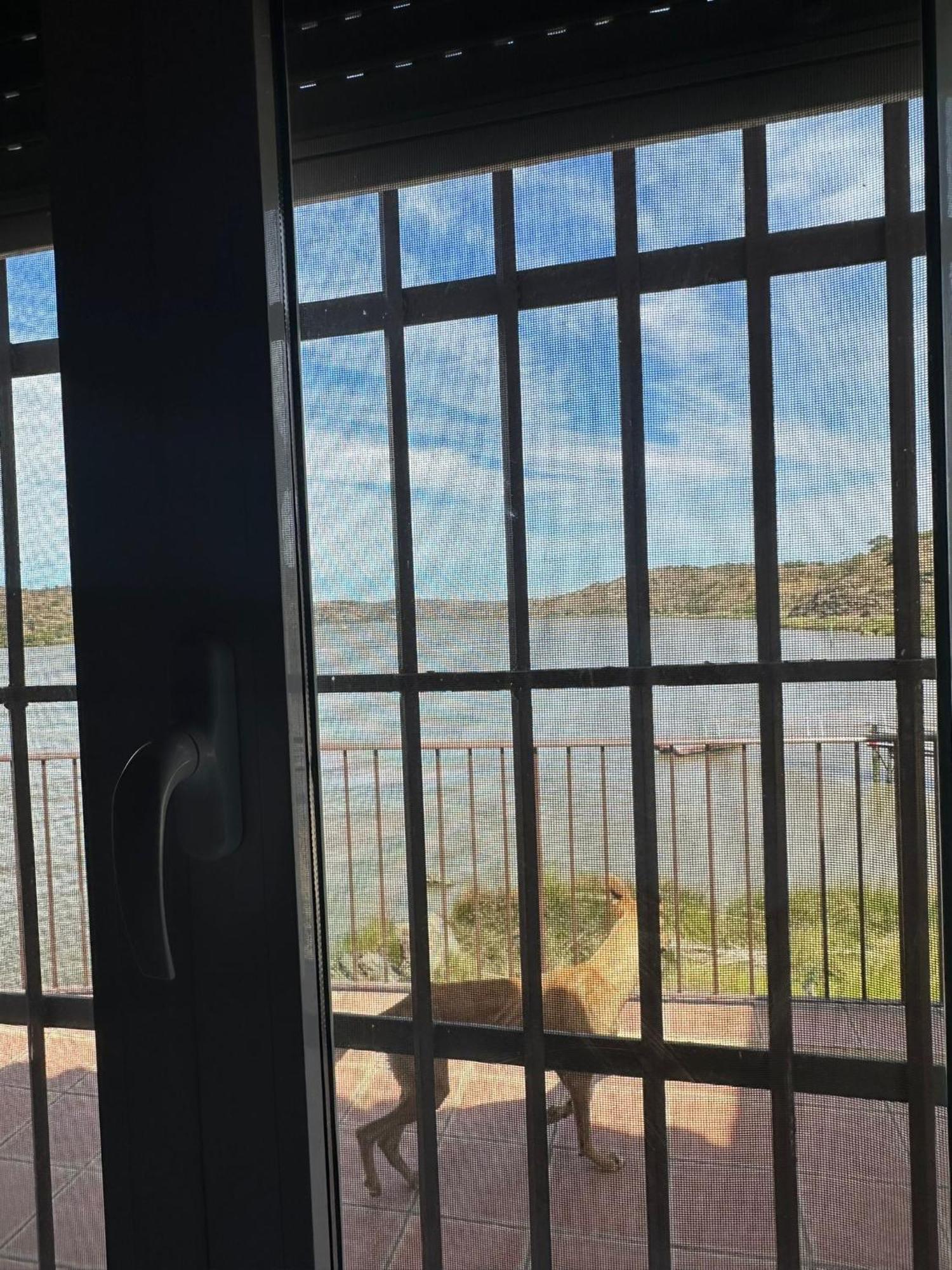 Magnifica Casa A Orillas Del Guadiana Huelva Zewnętrze zdjęcie